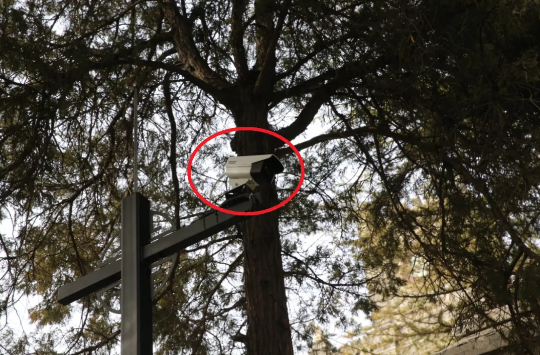 1671763271188900.png image.png